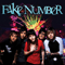 Fake Number - Fake Number