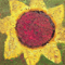 2013 Sunflower