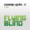 2012 Flying Blind (Split)