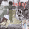 2000 Belief