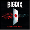 Bigdix - Kiss My Ace