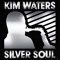 2014 Silver Soul