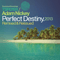 2013 Perfect Destiny: Remixed & Reissued