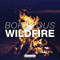 2014 Wildfire