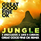 2014 X Ambassadors & Jamie N Commons - Jungle (Great Good Fine OK remix) (Single)