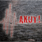 2011 Akut