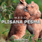 2012 Pulsar Recordings (CD 051: M.E.D.O. - Plisana Pesma)