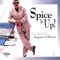 2008 Spice It Up!