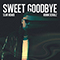 2023 Sweet Goodbye (SLVR Remix)