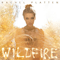 2016 Wildfire