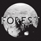 2013 Forest (Single)