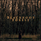 2017 Blackroot Forest (Single)