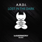 2019 Lost In The Dark (Single)