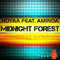 2009 Hoyaa feat. Aminda - Midnight forest (EP)