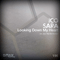 2014 Ico & Sara - Looking down my heart (Single)