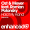 2013 Ost & Meyer feat. Roman Polonsky - Hold My Hand (Single)