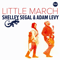 2013 Little March