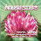 2006 House 2006-2 (CD 2)