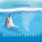 2008 Dolphin Spirit