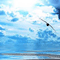 2008 Oversea - Ocean Flight (Etasonic's Over The Ocean Remix) [Single]