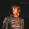 2019 Stray (Single)