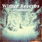 2015 Winter Reverbs