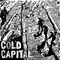 Cold Capital - Frozen Assets