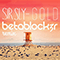 2013 Gold (Betablock3R Remix)
