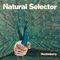 Huckleberry - Natural Selector