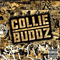 2007 Collie Buddz