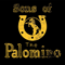 2017 Sons Of The Palomino