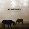 2011 Equestrienne (Remixes)