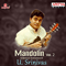 2015 Mandolin Vol. 2
