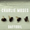 Moses, Charlie - Daffodil