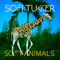 Sofi Tukker - Soft Animals EP