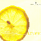 2006 Aromatherapy:Lemon