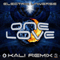 2015 One Love (Kali Remix) [Single]