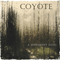 Coyote - A Different Path