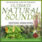 2008 Ultimate Natural Sounds - Soothing Windchimes