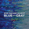 2019 Blue into Gray