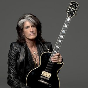 Joe Perry Project