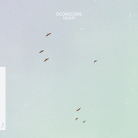 lycoriscoris - Flight