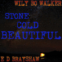 Walker, Wily Bo - Stone Cold Beautiful