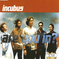 Incubus (USA, CA) - Are You In (UK Single)