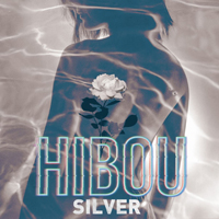 Hibou (USA) - Silver