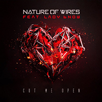 Nature Of Wires - Cut Me Open (Single)