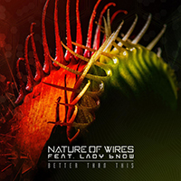 Nature Of Wires - Better Than This (Single)