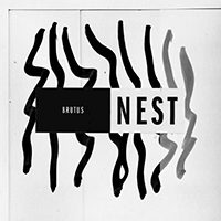 Brutus (BEL) - Nest