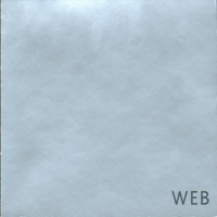 Bill Laswell - Web (Split)