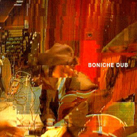 Bill Laswell - Boniche Dub (Split)